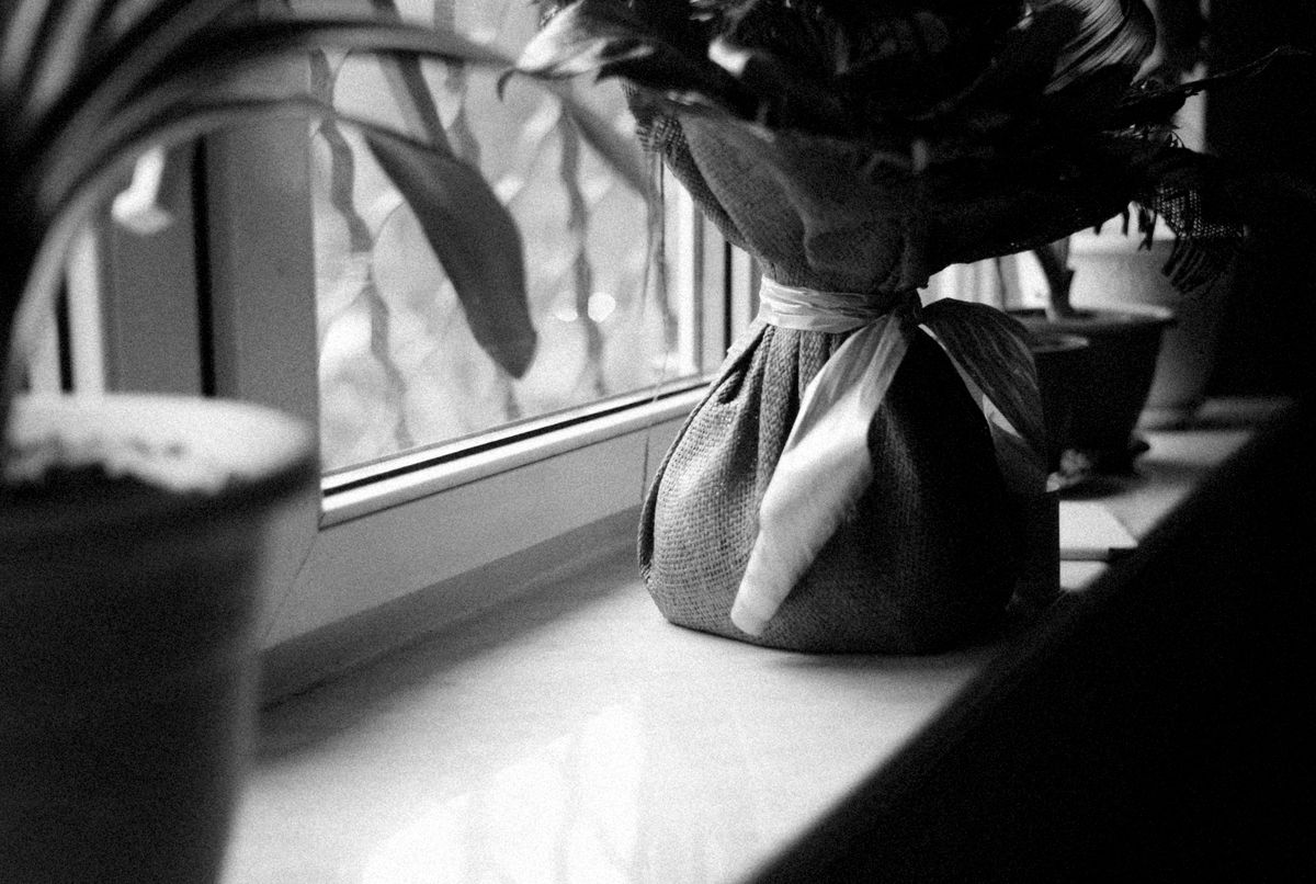 窓辺に置かれた布で包まれた鉢植えのモノクロ写真